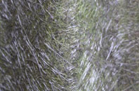 Noss Mayo fibreglass roof work